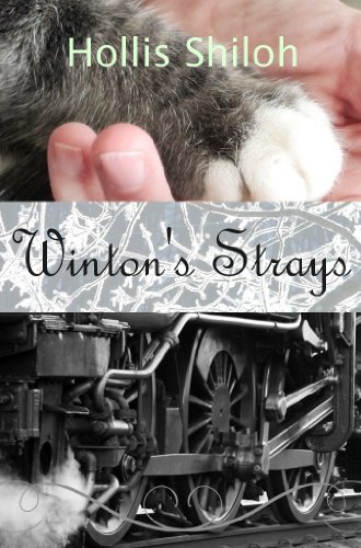 Winton's Strays book cover