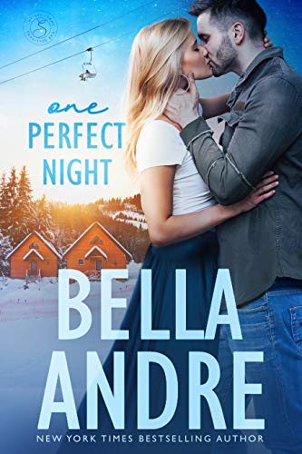 One Perfect Night book cover
