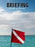 Briefing An Art On Its Own Diving On Demand Book 1 English Edition
