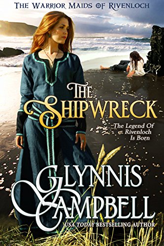 The Shipwreck book cover