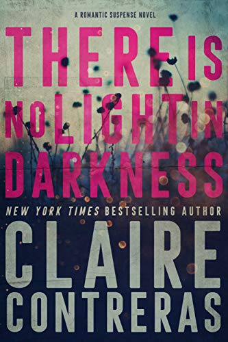 There is No Light in Darkness book cover