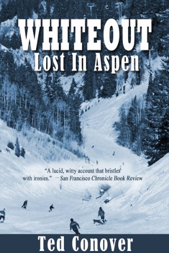 Whiteout book cover