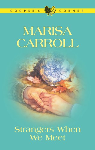 Strangers When We Meet book cover