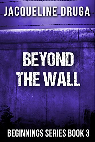 Beyond the Wall book cover