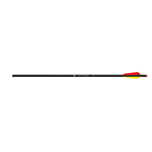Easton Bloodline 20" Crossbow Bolts (6-Pack)