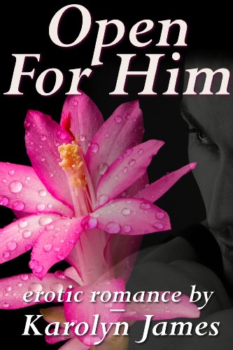 Open For Him book cover