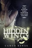 Hidden Wings Hidden Wings Series Book One