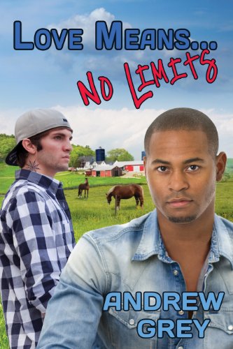 Love Means... No Limits book cover