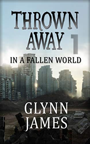 In a Fallen World book cover