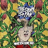 What You Don't See (2013)