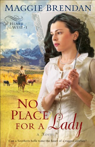No Place for a Lady book cover