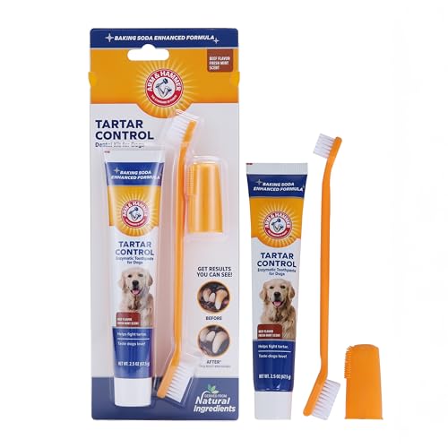 Arm & Hammer Tartar Control Enzymatic Toothpaste for Dogs