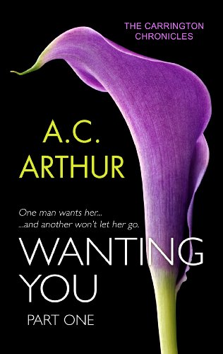 Wanting You book cover