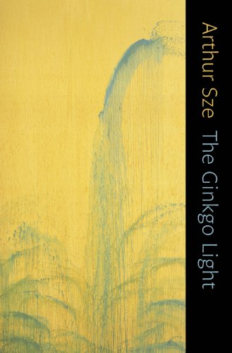The Ginkgo Light book cover