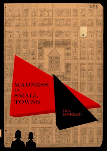 Madness in Small Towns book cover