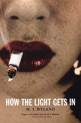 How the Light Gets In book cover