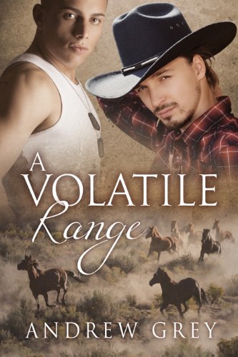 A Volatile Range book cover