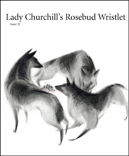 Lady Churchill's Rosebud Wristlet No. 28 (By: Kelly Link,Gavin Grant,Junyi Wu) cover