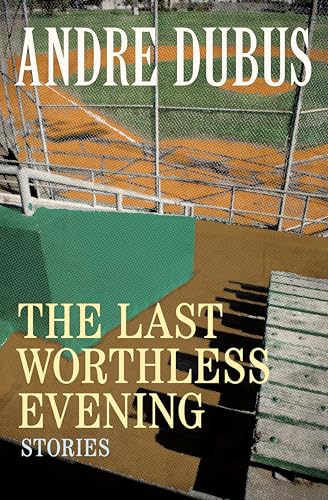The Last Worthless Evening book cover