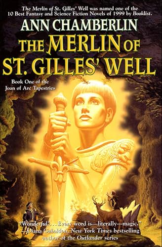 The Merlin of St. Gilles' Well book cover