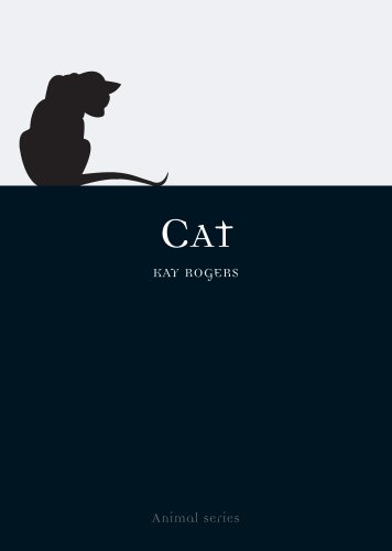 Cat book cover
