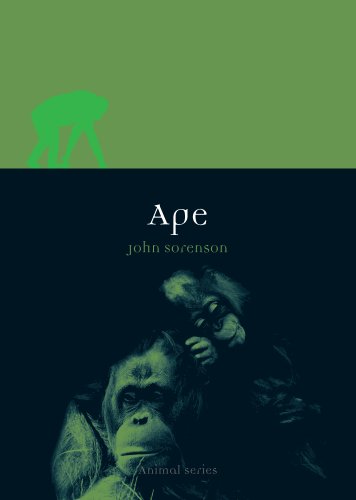 Ape book cover