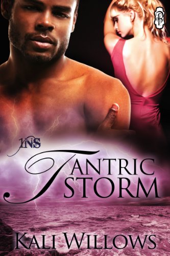 Tantric Storm book cover