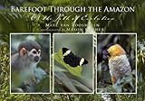 Barefoot Through The Amazon On The Path Of Evolution English Edition