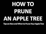 How To Prune An Apple Tree English Edition
