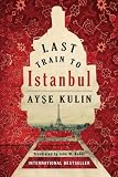 Last Train To Istanbul A Novel
