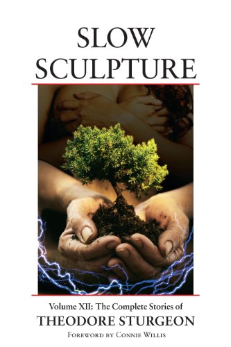 Slow Sculpture cover