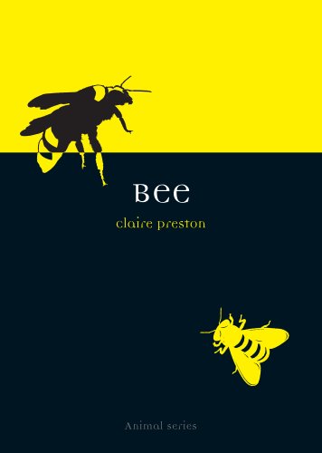 Bee book cover