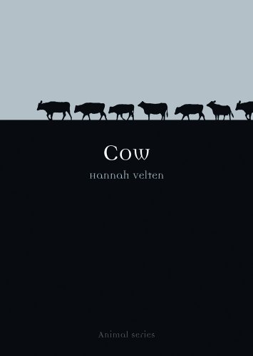 Cow book cover