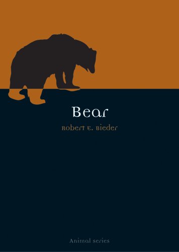 Bear book cover