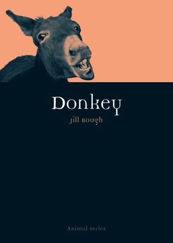 Donkey book cover