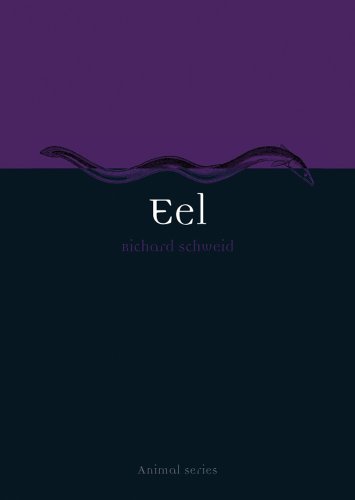 Eel book cover