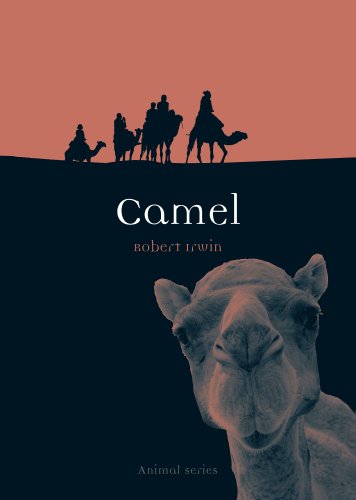Camel (By: Robert Irwin) cover