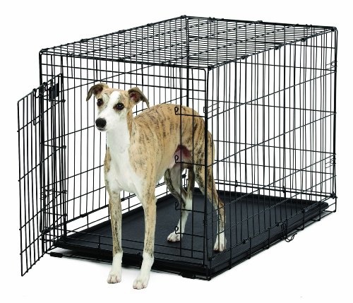 MidWest Life Stages Single Door Dog Crate 36-inch with Divider