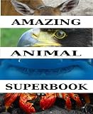 The Amazing Animal Superbook English Edition