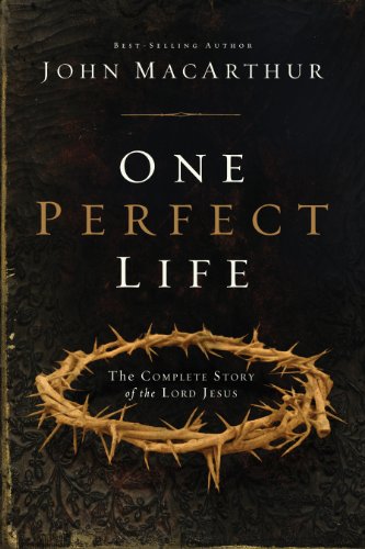 One Perfect Life book cover