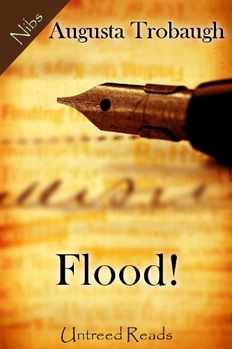 Flood! book cover