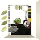 album / discography
