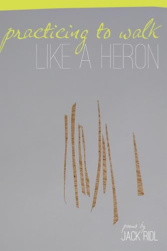 Practicing to Walk Like a Heron book cover