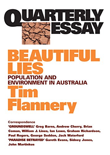 Beautiful Lies book cover