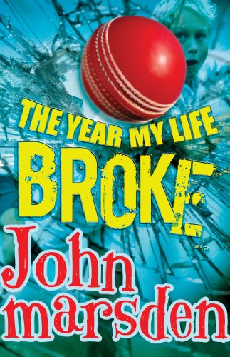 The Year My Life Broke book cover