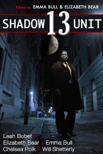 Shadow Unit 13 book cover
