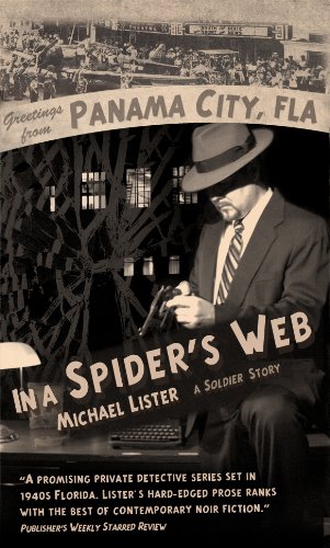 In a Spider's Web book cover