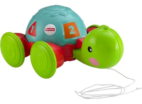 Fisher-Price Brinquedo para Bebês Empurra Tartatuga para crianças a partir de 1 ano