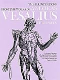 The Illustrations From The Works Of Andreas Vesalius Of Brussels Dover Fine Art History Of Art English Edition
