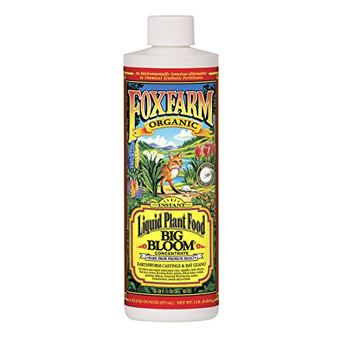 FoxFarm - Big Bloom Plant Food, Liquid Fertilizer Concentrate for Flowers, Fruits, and Vegetables, All Purpose Plant Fertilizer for Indoor & Outdoor Potted Plants, NPK 0-0.5-0.7 (Pint)